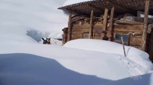 Навестили Агафью Лыкову в новом доме