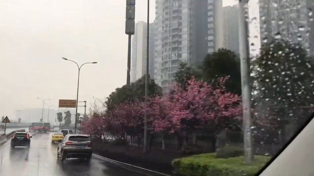 Chongqing China. Чунцин. Первые дни марта. Весна в Чунцине.