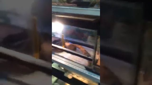 Крошка Енот и другие смотреть онлайн