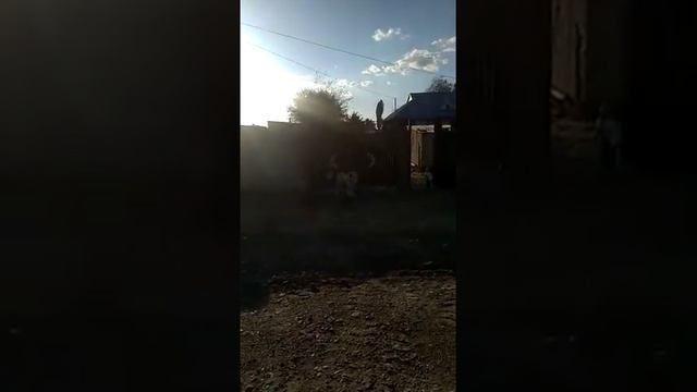 Черноухий Арлан с размётом смотреть онлайн