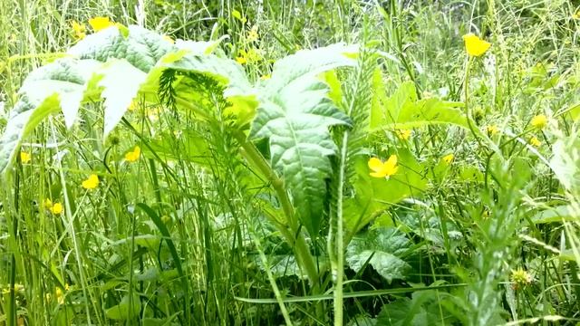 Дождь заканчивается смотреть онлайн
