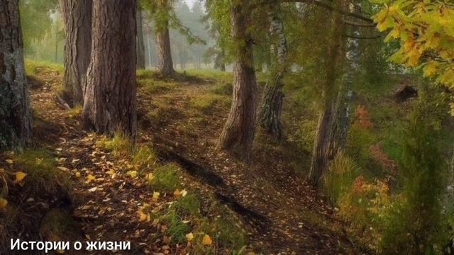 На море, молоденькая учительница встретила молодого парня. Провела приятно время. смотреть онлайн