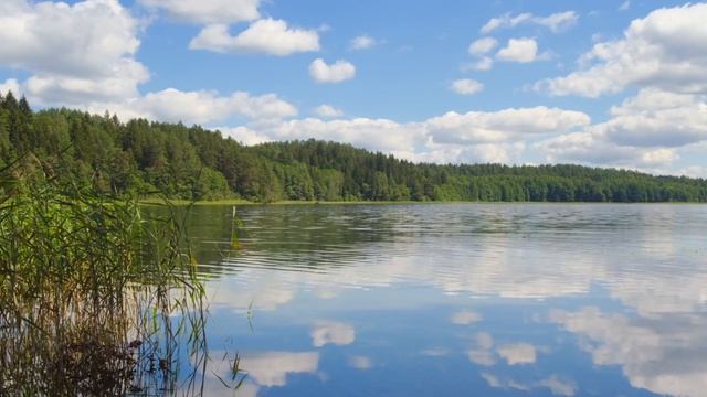 Путевка в Беларусь смотреть онлайн