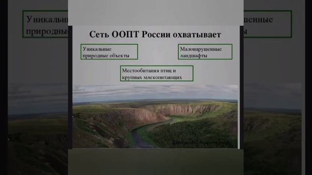 3 марта - Всемирный День дикой природы. смотреть онлайн