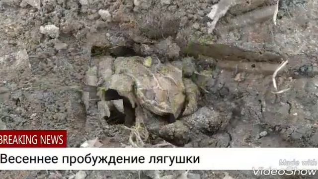 Весна 2018 (сад, огород, природа) смотреть онлайн