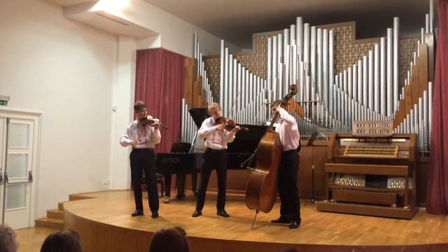Fis-moll Vergariovci TRIO