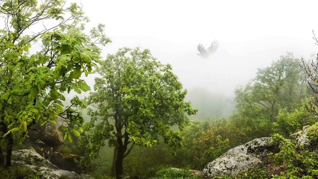 Краснодарский край смотреть онлайн