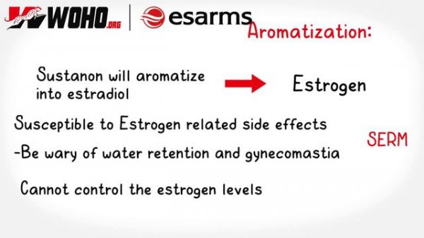 Sustanon 250 - An Useful Illustrated Guide