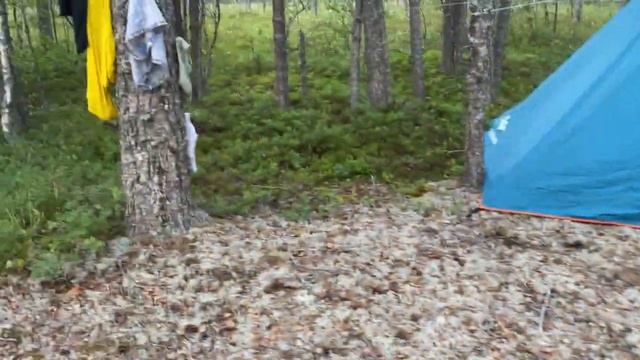 Отдых в Карелии летом смотреть онлайн