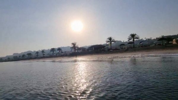 The Cove Rotana Resort 5*🏝 Го на пляж в 7 утра  Что едим на завтрак 🍉🍍 Серёгу любят все кошки 🐈