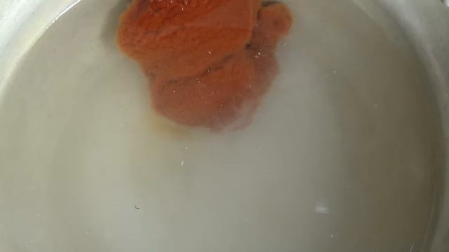 Животные в Зоопарках