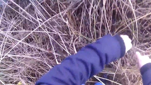 Шумел Камыш, деревья гнулись, а ночка темная была... Или "Что можно сделать из тростника" смотреть онлайн