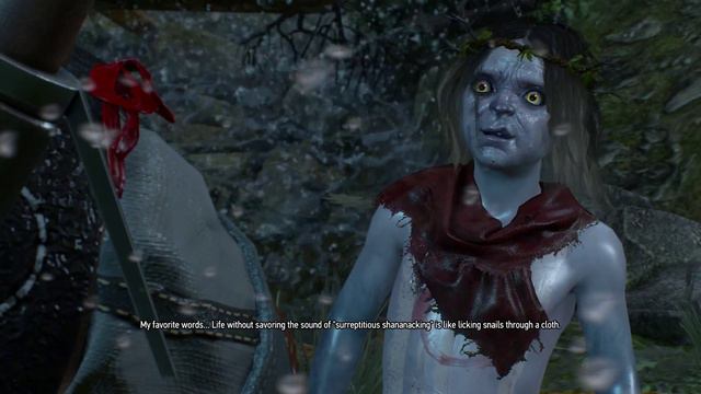 The Witcher 3 Wild Hunt: Johnny Is A Dark Elf? - Part 29 - Apex Plays смотреть онлайн