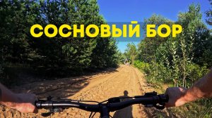Первый раз в Сосновом Бору. Велопрогулка ВЛОГ 5