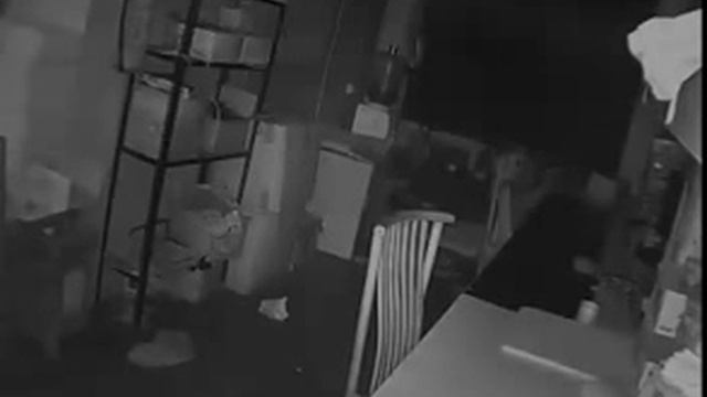 DIS 800 TVL Indoor 24 IR Camera Recording смотреть онлайн