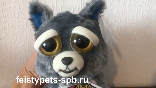 Feisty Pets котенок - игрушка с характером смотреть онлайн