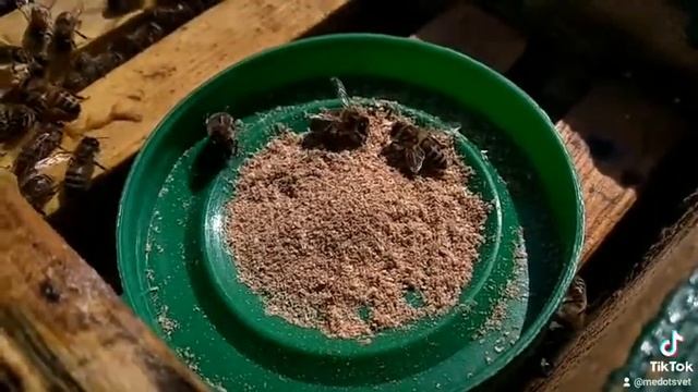 Кормовые дрожжи для пчёл весной. Весенняя подкормка пчёл.