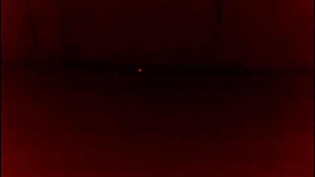 Can you identify the animal? Pulsar Axion XQ38 смотреть онлайн