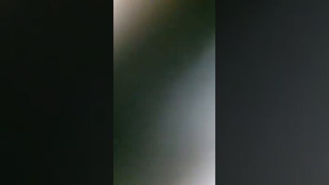 Генератор портер 1