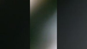 Генератор портер 1