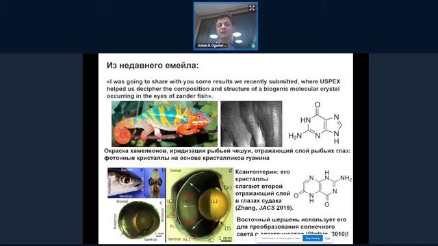 Артем Оганов. Тот же слон, только сбоку: взгляд кристаллохимика-неорганика на биологические явления смотреть онлайн