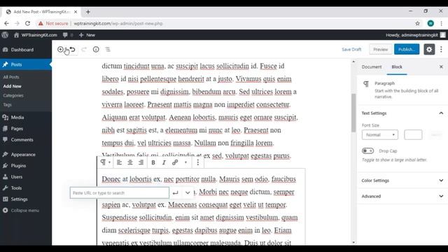 WordPress Training Course Free - WordPress Make and Edit post (Video10/25) смотреть онлайн
