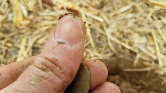 NO WAY we found this here!! OMG!! I HATE YOU!! UNEXPECTED Metal Detecting смотреть онлайн
