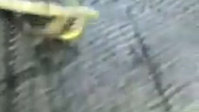 Рыба мутант из Иртыша смотреть онлайн