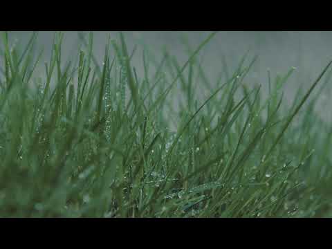 Дождь и гром для сна - звуки дождя 2 Часа смотреть онлайн