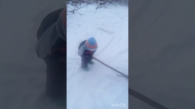 Сын помогае готовить дрова смотреть онлайн
