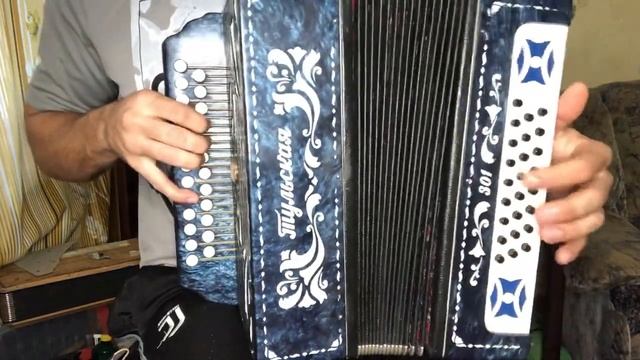 ГАЛИНА - РАЗБОР НА ГАРМОНИ! Песни под гармонь