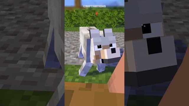 Dog Saved Zombie Girl - Minecraft Animation #shorts смотреть онлайн