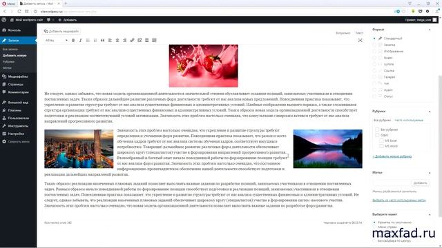ДОБАВЛЕНИЕ КАРТИНКИ НА СТРАНИЦУ WORDPRESS смотреть онлайн