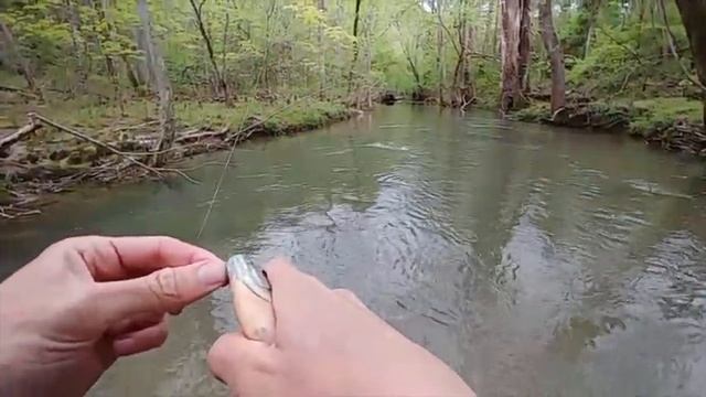 The BEST Lure for Catching Multiple Species In Creeks 1" Gulp Alive! Minnow смотреть онлайн