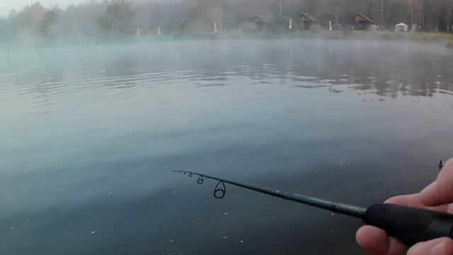 Золотые Караси. Форелевая рыбалка. смотреть онлайн
