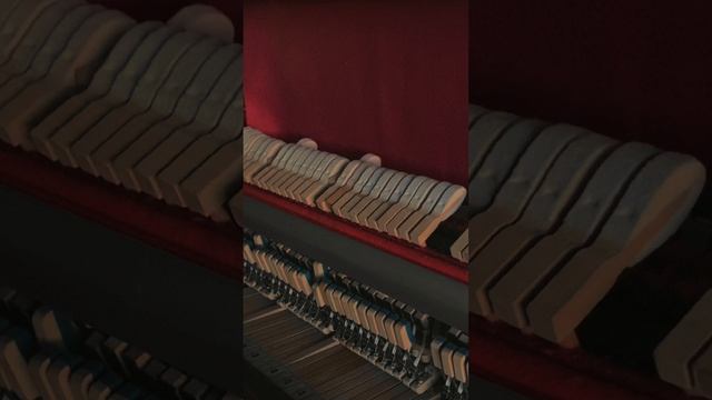 Untitled Summer Song смотреть онлайн