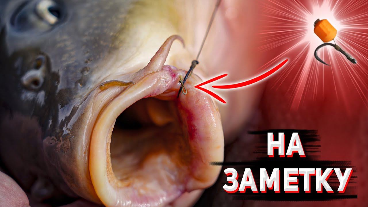 ОЙ, ЧТО ТВОРИТ ЭТА НАСАДКА! Лучшая Оснастка Для Ловли Карпа По Холодной Воде. Часть III смотреть онлайн