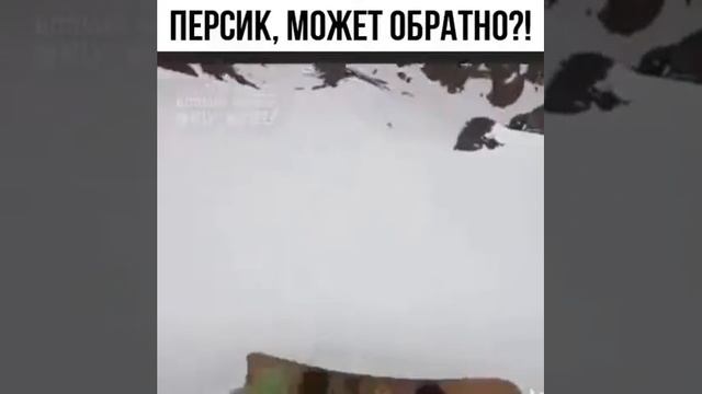 Персик, может обратно?! смотреть онлайн