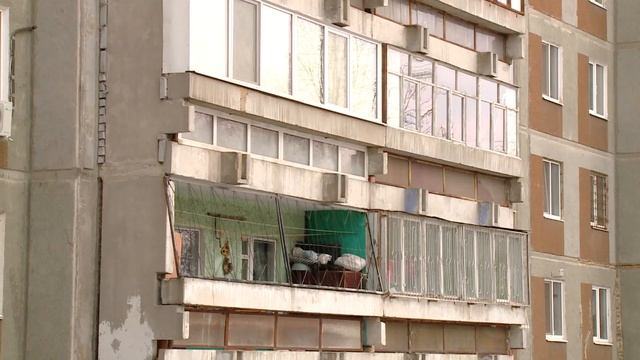 Как заставить собачников убирать за питомцами / Новости смотреть онлайн