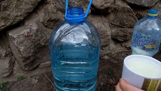 МОЛОЧНАЯ СЫВОРОТКА ДЛЯ РАСТЕНИЙ. ЭКО-УДОБРЕНИЕ для РОЗ,папоротников огурцов и томатов