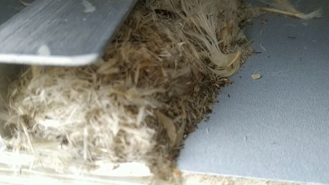 чистим ? две подушки не плохо получилось ??????? смотреть онлайн