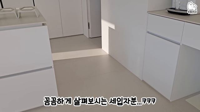 강아지용 전원주택을 지었어요! 집에 처음 들어가 본 루퐁이 반응이ㅋㅋㅋ смотреть онлайн