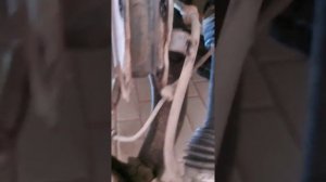 Рено колеос Renault koleos замена внутреннего пыльника переднего шруса