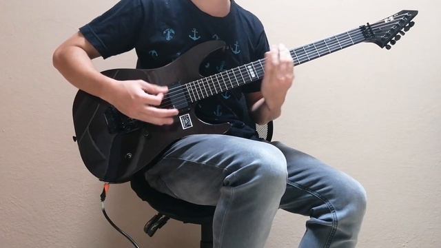 Daron Malakian And Scars On Broadway / Lives (Guitar Cover) смотреть онлайн