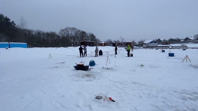 Наблюдаем за поисками форели смотреть онлайн