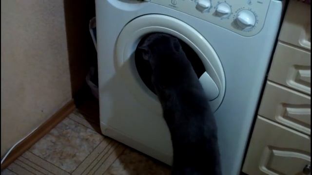 Не мешайте, я стираю. смотреть онлайн