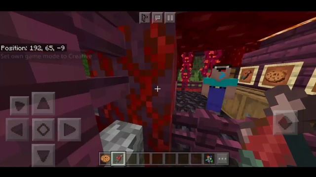 MCPE CUSTOM NPC ADDON 1.16