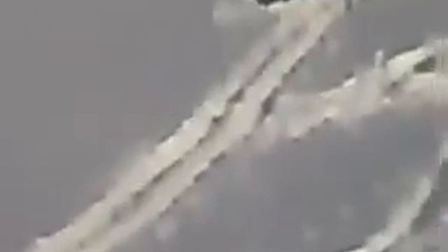 Подснежник и Гиена Юмор! Прикол! Смех смотреть онлайн