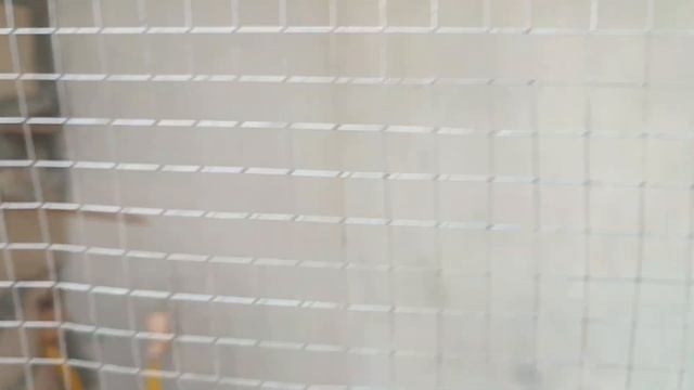 Birds Latest Price Update | Lovebirds, cocktail, java, finch, budgies | @Touseef Ahmed Official смотреть онлайн