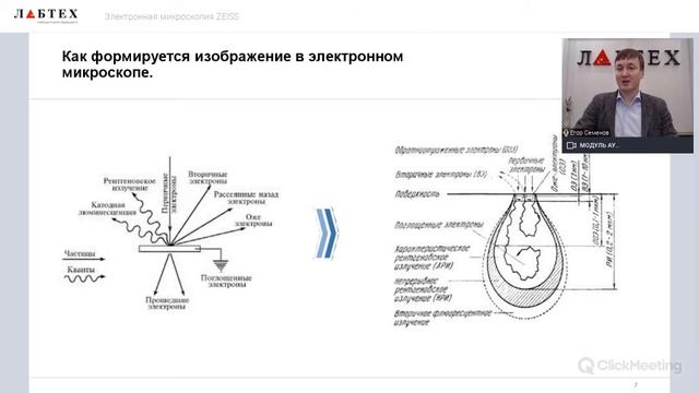 Электронная микроскопия ZEISS.